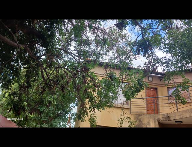1 BEDROOM APARTMENT FOR SALE IN PENINA PARK